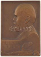 Pásztor János (1881-1945) 1912. Dr. Genersich Antalnak hálás tanítványai 1912 egyoldalas bronz plakett (60x44mm) T:XF kis ph HP.: 3785.