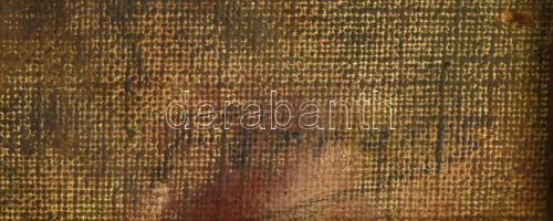 Ferraris Artúr (1856-1936): Fiatal hölgy arcképe. Olaj, vászon. Jelezve jobbra lent (halványan). Hát...