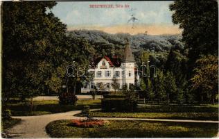 1918 Beszterce, Bistritz, Bistrita; Sétatér. Hausmann Rella kiadása / Promenade / promenade, park, villa (EK)