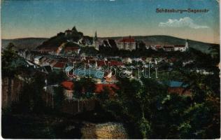 1917 Segesvár, Schässburg, Sighisoara; látkép / general view (szakadás / tear)