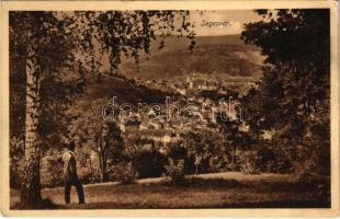 Segesvár, Schässburg, Sighisoara; látkép / general view (EK)