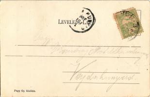 1905 Gyulafehérvár, Alba Iulia; Károly-kapu, katonák. Papp Gy. kiadása / castle gate, K.u.K. soldier...