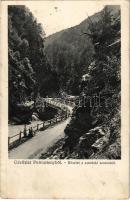 1909 Petrozsény, Petroseni, Petrosani; részlet a Szurduki szorosból, híd. Herz Henrik kiadása / Pasul Surduc / mountain pass, gorge, bridge (gyűrődés / crease)