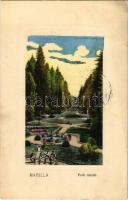 1910 Marilla, Marillavölgy, Marila; park / park (EB)
