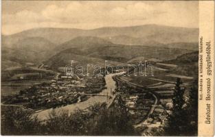 1910 Borosznófürdő, Brusno-kúpele (Borosznó, Brusznó, Brusno); Szent András a kilátásból tekintve. Lechnitzky O. fényképész kiadása 213. sz. / general view (EK)