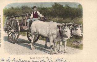 Italian countryman on carriage