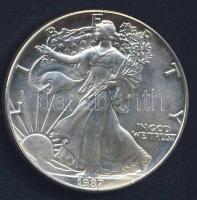 USA 1987. 1$ Ag 1oz. "Liberty" T:1