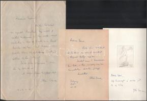 cca 1963-1971 Illés Endre (1902-1986) író, drámaíró, műfordító, műkritikus, a Szépirodalmi Könyvkiad...