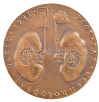 1983. "Pécs Pab. Nephrologiai Ülése 1983. " egyoldalas bronz emlékplakett (82mm) T:2 repedés, kis ph