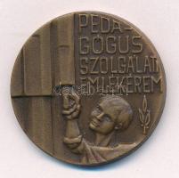 1975. &quot;Pedagógus Szolgálati Emlékérem&quot; bronz kitüntetés fül és mellszalag nélkül T:1- ph NMK 714.