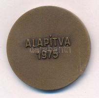 1975. "Pedagógus Szolgálati Emlékérem" bronz kitüntetés fül és mellszalag nélkül T:1- ph
...