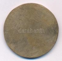 1979. "A szegedi árvíz 100 éves évfordulójára" egyoldalas Br emlékérem (41mm) T:2- ph