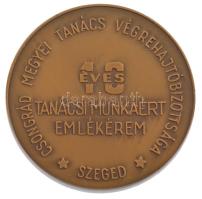 ~1980. Csongrád Megyei Tanács Végrehajtóbizottsága, Szeged - 10 éves tanácsi munkáért kétoldalas bronz emlékérem (70mm) T:1,1-