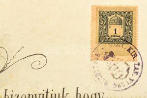 1905 Tanári oklevél, Pólay Vilmos (1881-?) bölcseleti doktor, középiskolai tanár részére, rajta Beöt...