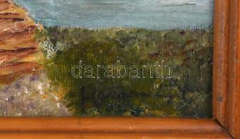 Herman jelzéssel: Vízparton. Olaj, vászon, sérült. Fakeretben, 40×50 cm