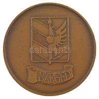 DN Szeged a Szegedi Dómot ábrázoló kétoldalas bronz emlékérem (60mm) T:2 patina, szennyeződés, ph