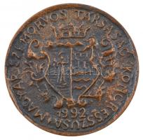 1992. "Győr / Magyar Szemorvos Társaság Kongresszusa 1992" kétoldalas öntött bronz emlékérem (61mm) T:1- patina