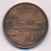 1992. "A Magyar Radiológiai Társaság XVI. Kongresszusa" kétoldalas Br emlékérem. Szign.:MM...