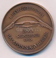 1990. "Magyar Műlencse Implantációs Társaság / I. Kongresszus 1990. szeptember 15-16. Balatonnagyberek" kétoldalas bronz emlékérem (42,5mm) T:1-