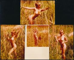 4 db erotikus fotó, 12,5×8,5 cm