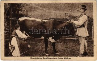 Rumänische Landbewohner beim Melken / Román folklór, parasztok tehénfejés közben / Romanian folklore, peasants milking a cow (EB)