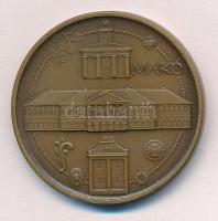 Lapis András (1942-) DN &quot;Makó / Szeged Tourist&quot; kétoldalas bronz emlékérem (42,5mm) T:1- patina, ph