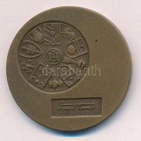 Lapis András (1942-) DN "Makó / Szeged Tourist" kétoldalas bronz emlékérem (42,5mm) T:1- p...