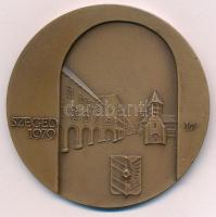 Lapis András (1942-) 1979. "IX. Magyar Endokrin Kongresszus / Szeged" kétoldalas Br emléké...