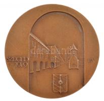 Lapis András (1942-) 1979. "IX. Magyar Endokrin Kongresszus / Szeged" kétoldalas Br emlékérem (69mm) T:1-,2 ph, karc
