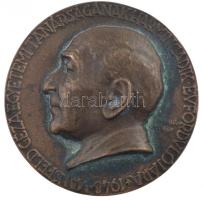 Edvi Illés György (1911-1949) 1948. "Mansfeld György egyetemi tanárságának harmincadik évfordulójára" kétoldalas bronz emlékérem (65 mm) T:2-