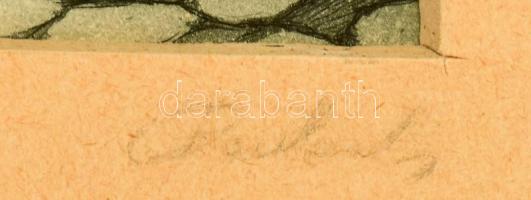 Paulovits Pál (1892-1975): Tabán 1927. Színezett rézkarc, papír, jelzett, üvegezett keretben, 23x22 ...