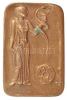 Tóth Sándor (1933-2019) "MÁOTE (Magyar Általános Orvosok Tudományos Egyesülete) Dél-Alföldi Szervezte" egyoldalas, öntött Br plakett (104x68mm) T:2 patina, hátoldalán ragasztó, karc