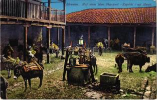 Albanien, Hof eines Han / Shqypnie, Kopshti i nji Hanit / somewhere in Albania, a garden of Inn