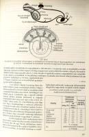 Dr. Nagy Emil - Dr. Széky Pál: Vadászható és védett vadfajainkról. Bp., 1995, Nimród Alapítvány. Kia...