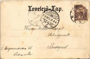 1900 Müller féle tinták a legjobbak. Müller Tetsvérek Vegy. gyár, Budapest / Hungarian ink advertise...