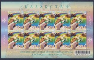 Ada Kaleh Panoramakarte