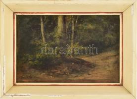Bruck Hermina (1865-1944): Erdőrészlet. Olaj, fa. Fakeretben, 10x15 cm