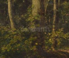 Bruck Hermina (1865-1944): Erdőrészlet. Olaj, fa. Fakeretben, 10x15 cm