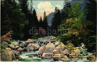 Tátra, Magas-Tátra, Vysoké Tatry; Részlet a Menguszfalvi-völgyből / Partie im Mengsdorfer-Tal / valley (EK)