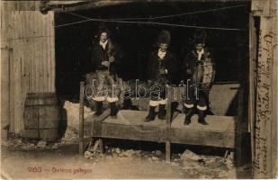 1915 Vigo, Gaiteros gallegos / Galicians, folklore (Rb)