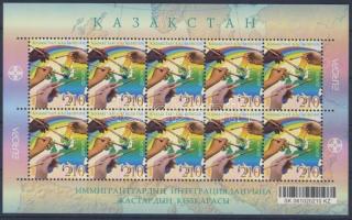 Ada Kaleh Panoramakarte