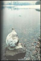 Urbán Nagy Rozália: Gorka Lívia. Corvina Műterem. Bp.,1979, Corvina, 60 p. Gorka Lívia műveinek repr...