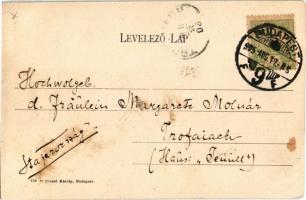 1905 Budapest I. Királyi vár, Jenő herceg szobra. Divald Károly 619. sz. (EK)