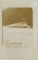 Sarmingstein, Schiffsunglück / shipwreck, photo