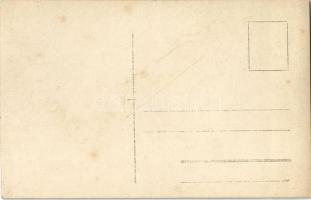 Sarmingstein, Schiffsunglück / shipwreck, photo