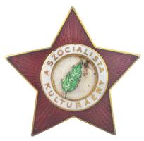 ~1970. "A Szocialista Kultúráért" zománcozott kitüntető jelvény T:AU szennyeződés