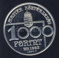 1993. 1000Ft Ag "Labdarúgó VB" T:PP