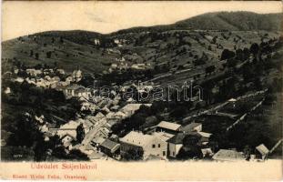 1908 Stájerlak, Steierlak, Stájerlakanina, Steierdorf, Anina; látkép. Weisz Félix kiadása / general view (EK)