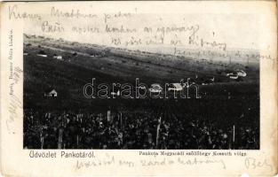 1904 Pankota, Pancota; Magyarádi Szőlőhegy és Kossuth völgy. Beamter Ödön kiadása / Maderat vineyards, valley (b)