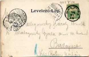 1904 Pankota, Pancota; Magyarádi Szőlőhegy és Kossuth völgy. Beamter Ödön kiadása / Maderat vineyard...